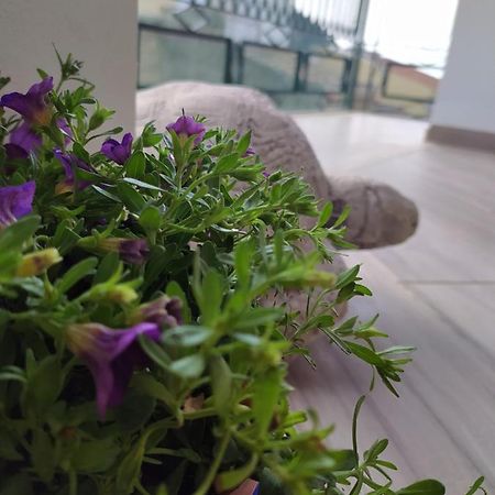 Attico Gloria & Greta Appartement Castellammare del Golfo Buitenkant foto