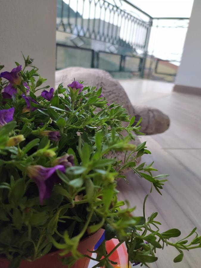 Attico Gloria & Greta Appartement Castellammare del Golfo Buitenkant foto